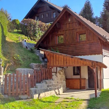 Apartman Albrecht Albrechtice v Jizerskych horach Bagian luar foto