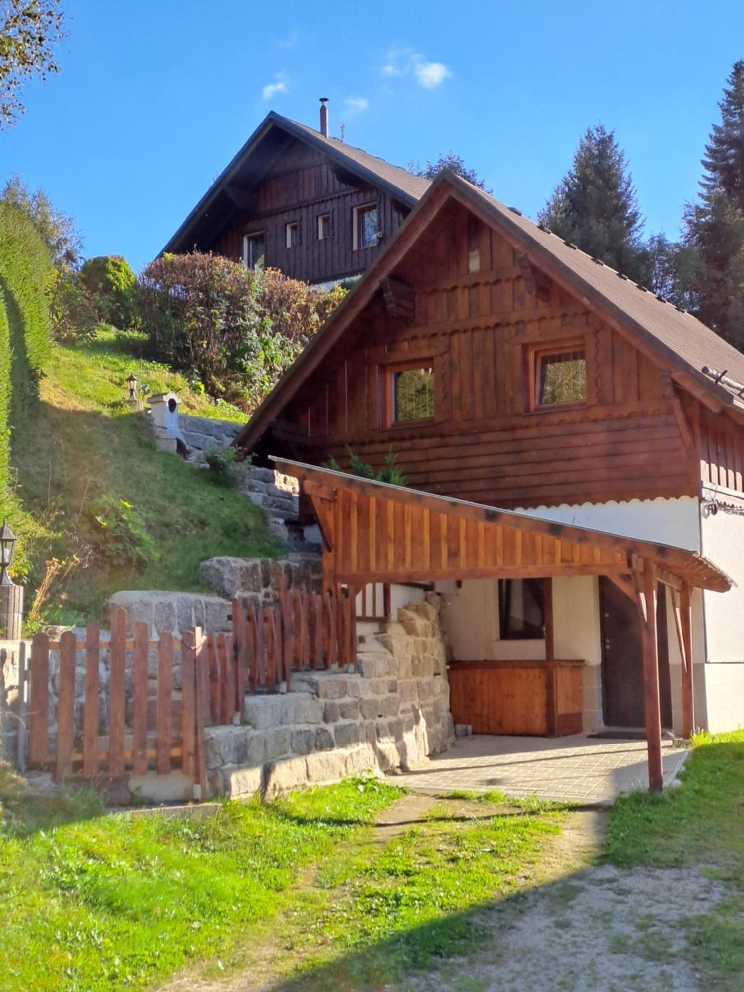 Apartman Albrecht Albrechtice v Jizerskych horach Bagian luar foto
